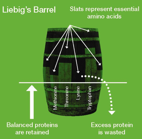 Liebig's Barrel